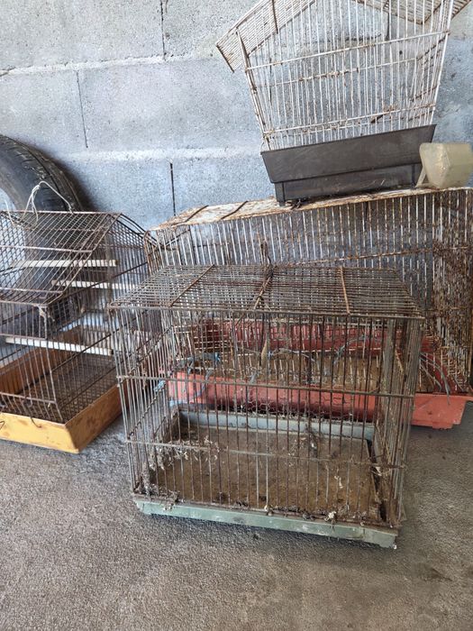 Gaiolas para pássaros