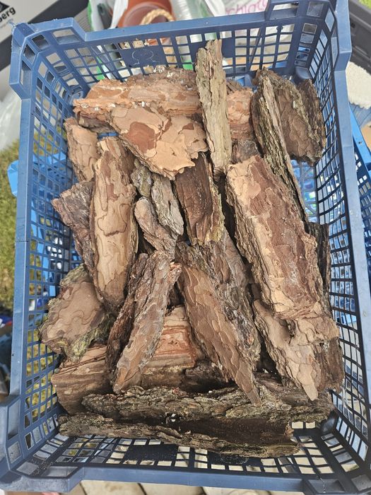 Kora sosnowa, naturalna