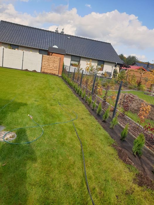 Tuja szmaragd 110 cm! Promocja!