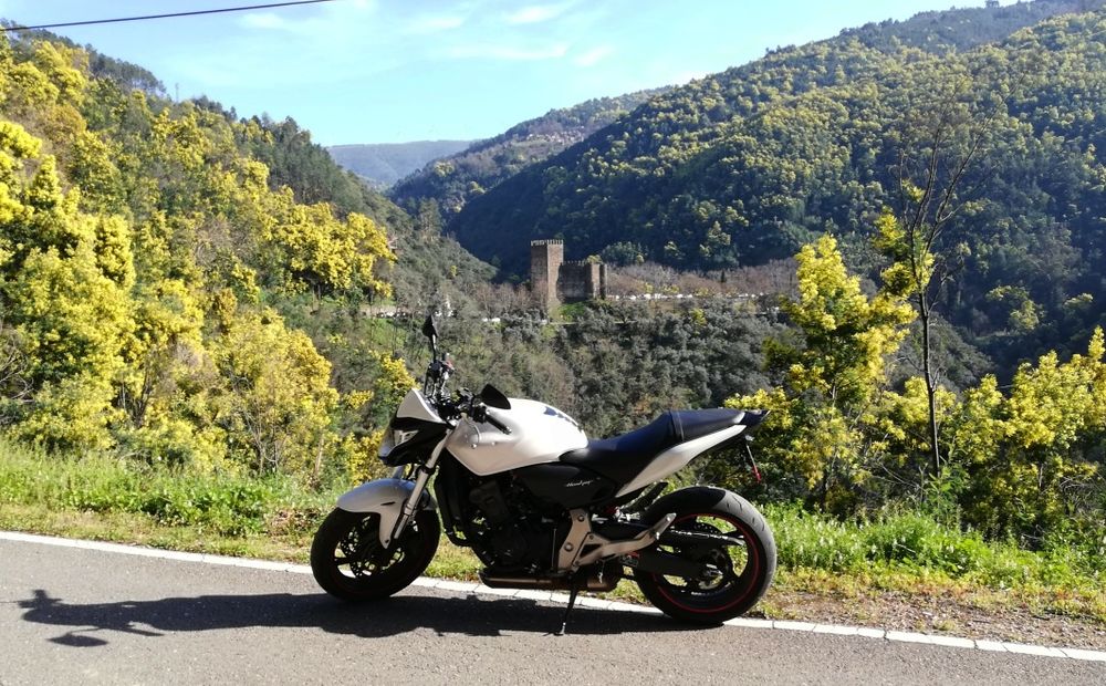 Hornet CB600F Hornet (ABS) 2011