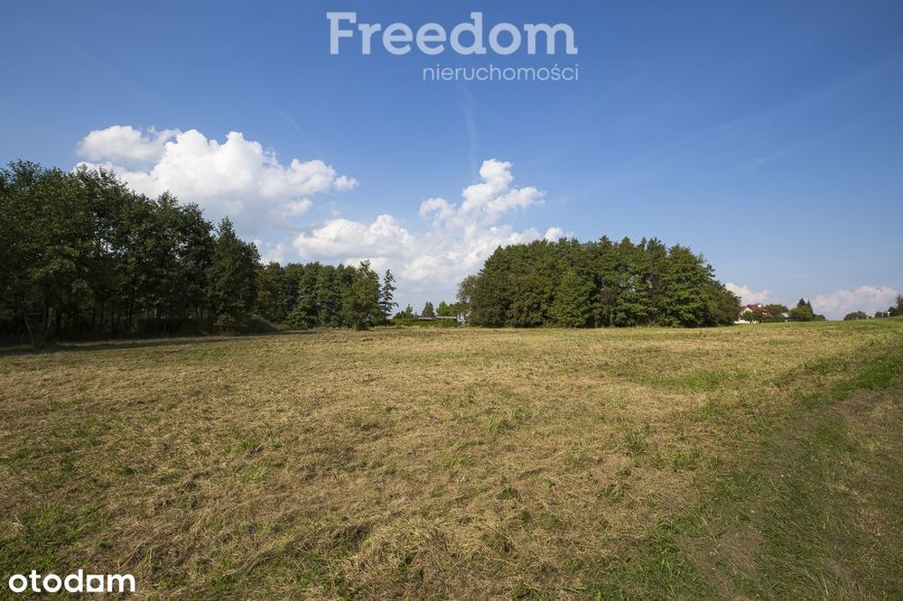 Działka 336/2 - 14,53 ar Rzeszów