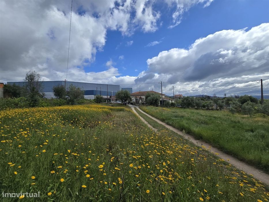 Terreno com viabilidade construtiva em Penalva do Castelo