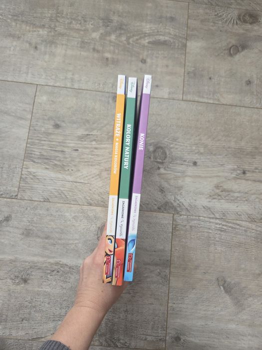 2x Kolorowanka dla dorosłych Disney art therapy nowe