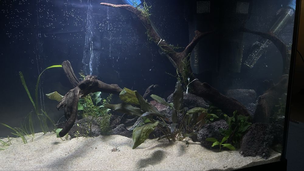 Aquário 85L  Montado C/ Móvel e Acessórios