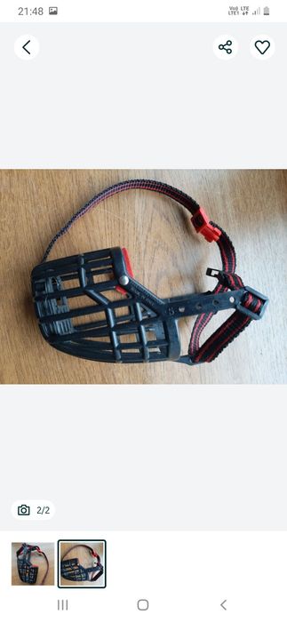 Nowy kaganiec dla małego psa