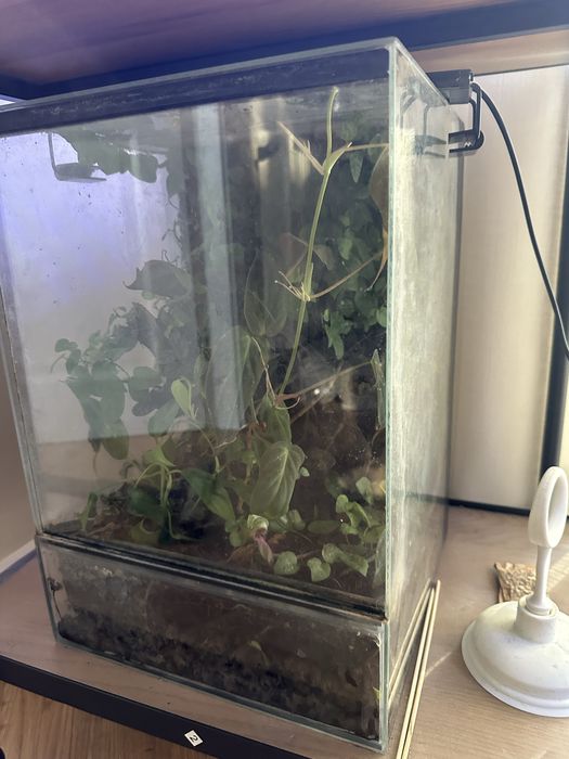 Terrarium 28x28x40cm
