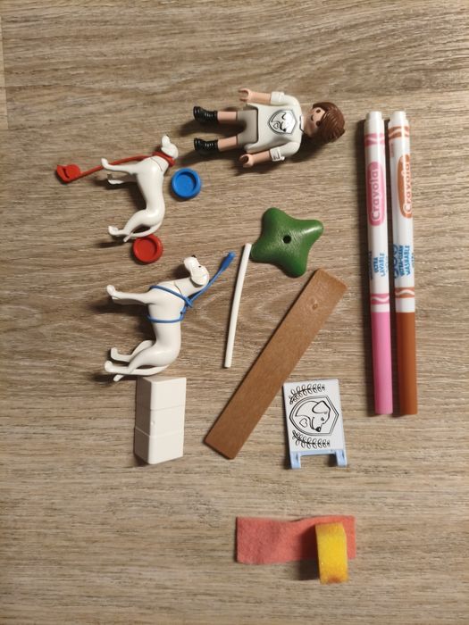 Playmobil Trening z psami 71517