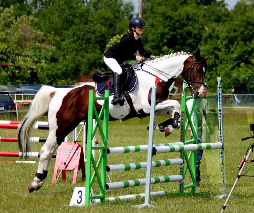 Stanówka. Ogier małopolski. Krycie