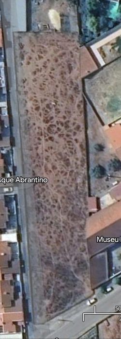 Oportunidade de  Investivento Imobiliário- Golegã