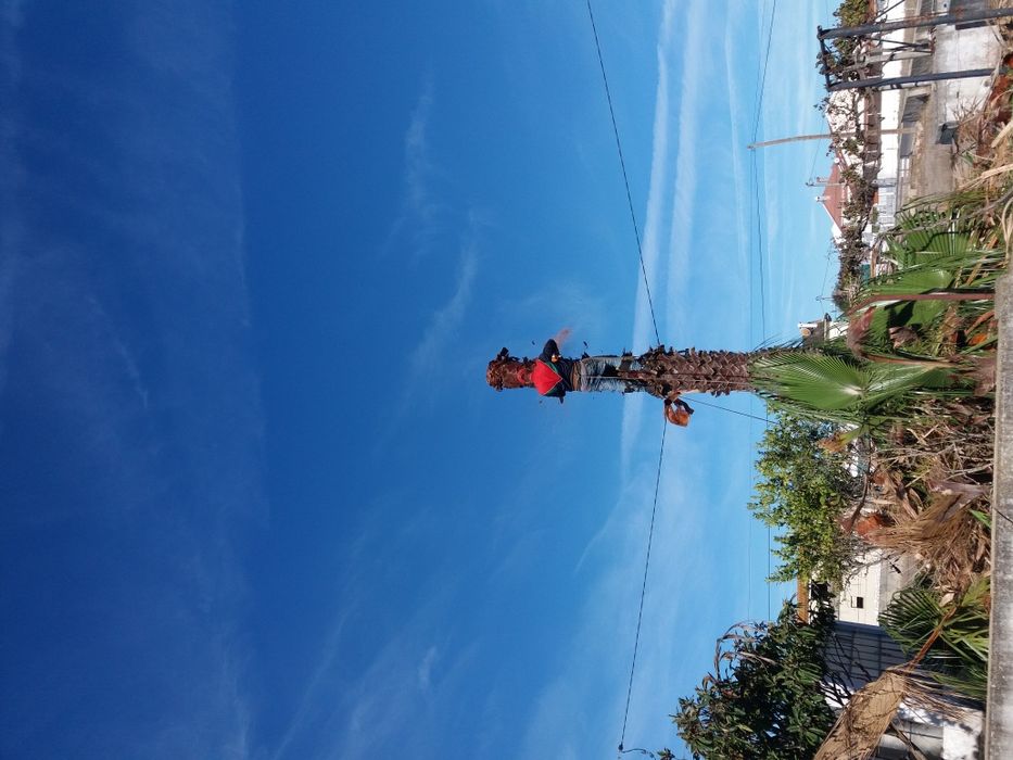 Limpeza de terrenos, Poda/Abate de Arvores  Preços Baixos