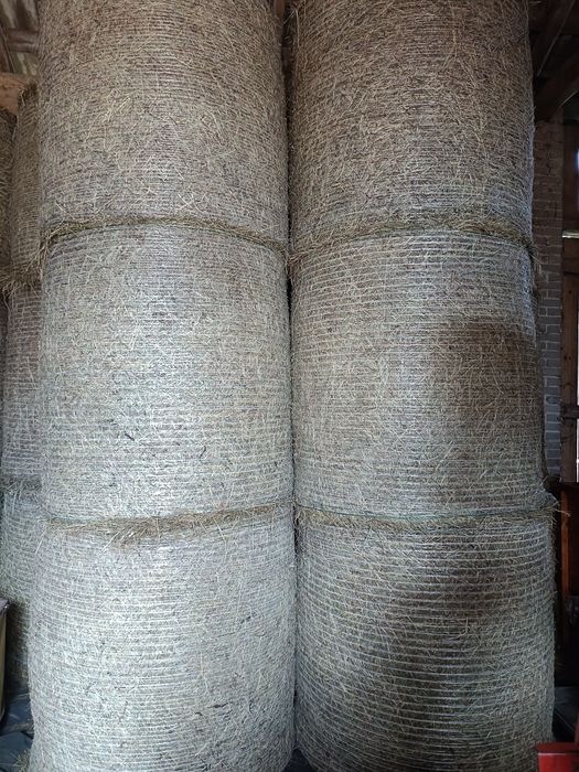 Sprzedam siano w belach