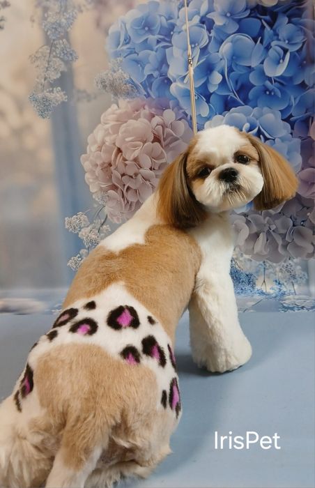 Стрижка собак в Харькове