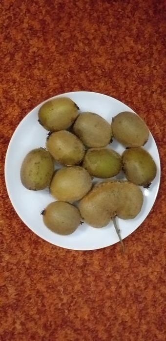 Kivis muito saborosos