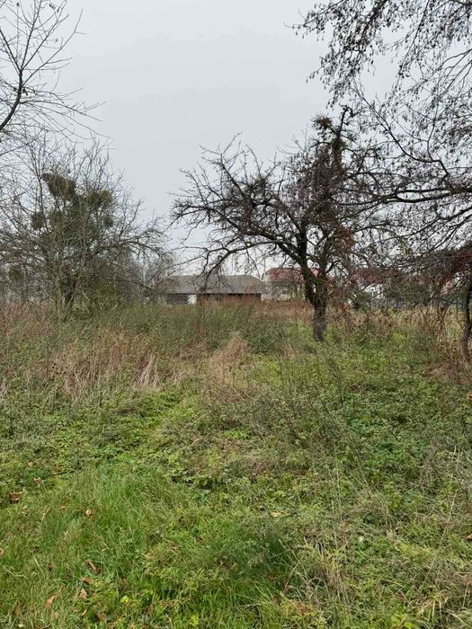 старий будинок та земельна ділянка 20 сот. с. Замочок