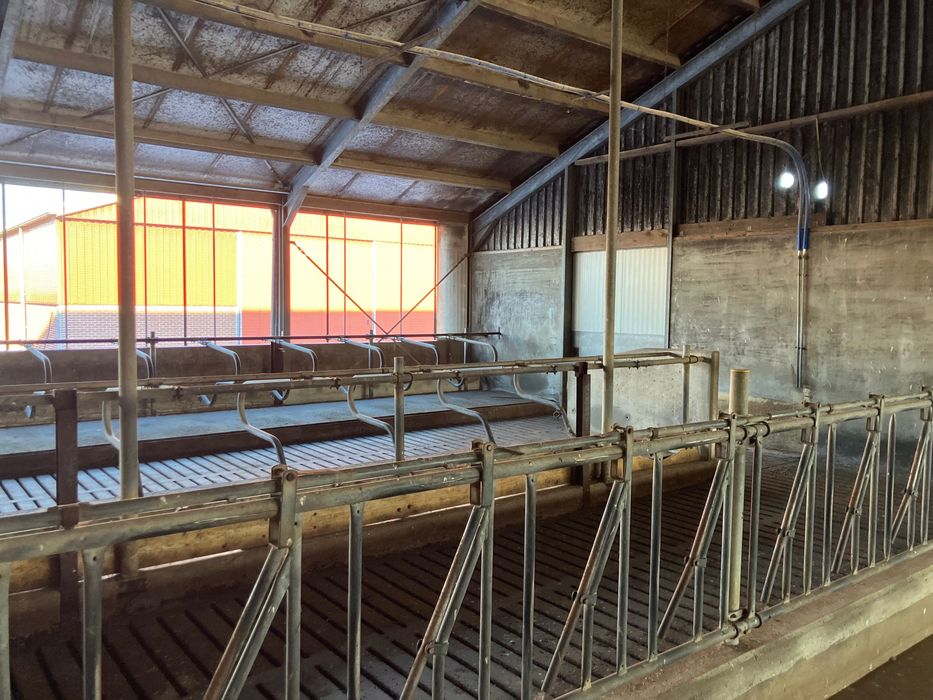 Obora budynek inwentarski 150szt ruszta konstrukcja stalowa  20x67