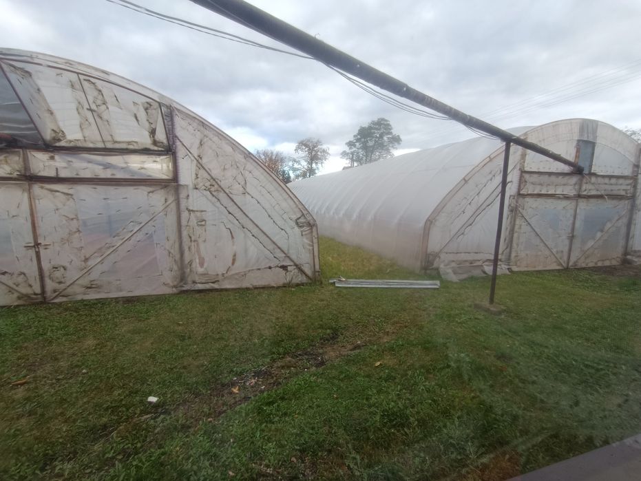 Tunele foliowe namioty foliowe duże