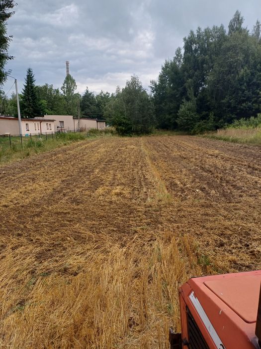 Dzałka dudowlana uzbrojona zory-rój - Widok 3