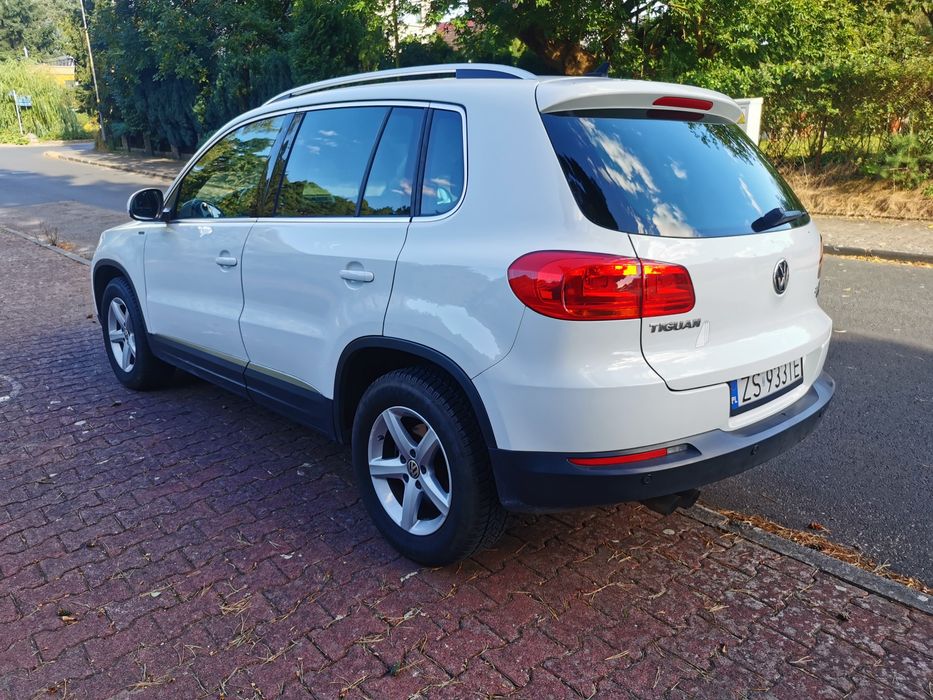 Vw tiguan za dobrze pieniądze
