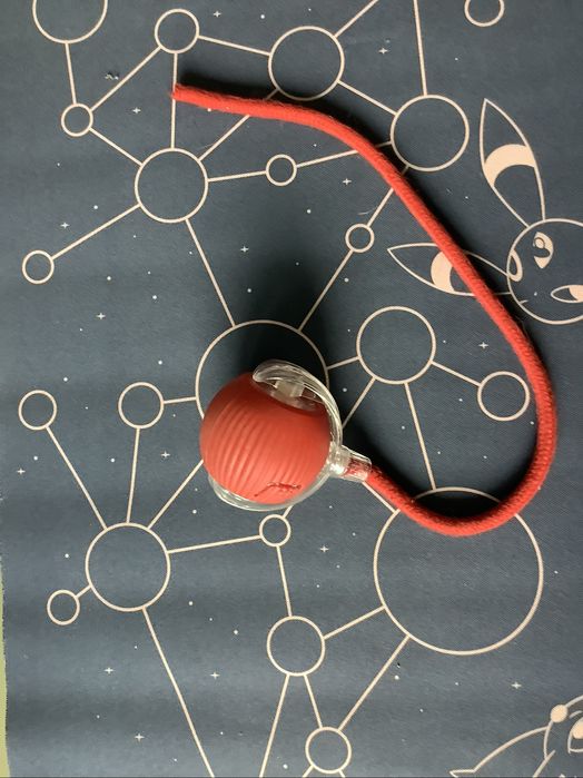 Mądre zabawki dla kota