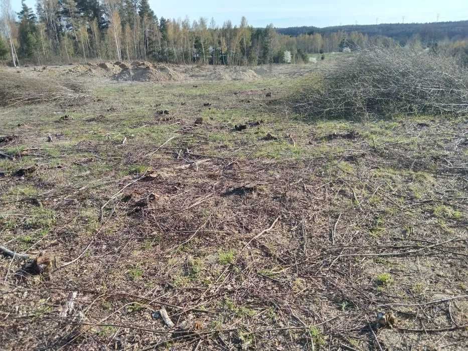 Wycinka drzew W trudno dostępnych miejscach / Transport wywrotką 3,5t