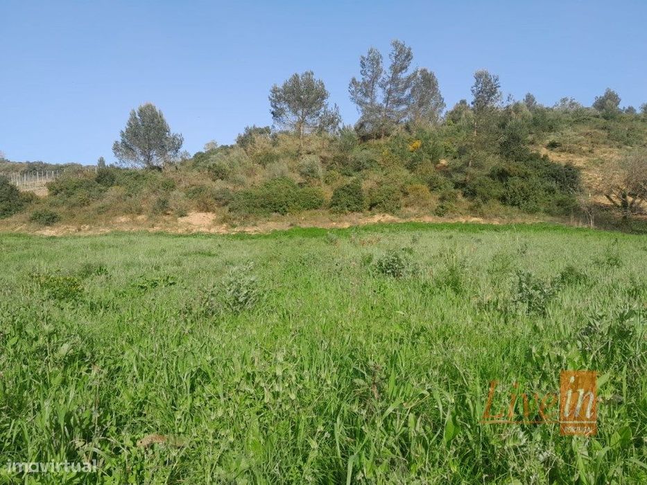 Terreno rústico 10.000m2 em Ribafria — Ribafria E Pereiro De Palhacana, Lisboa