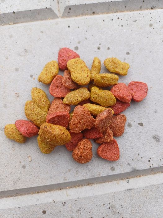 Сухий корм для котів Муся