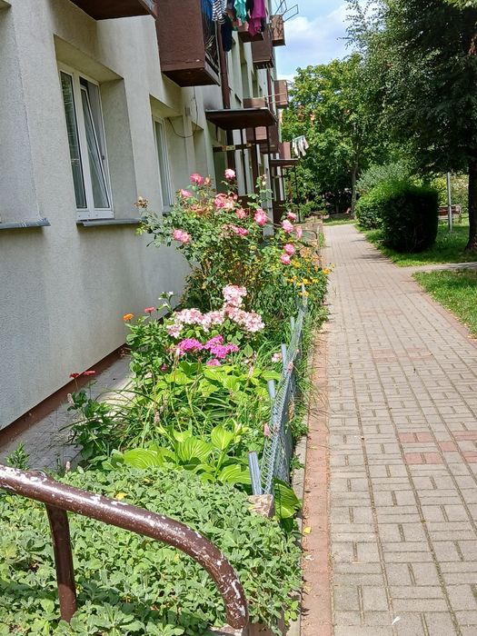 Ciepłe i słoneczne mieszkanie 2-pokojowe, 38 m² – gotowe do zamieszkan