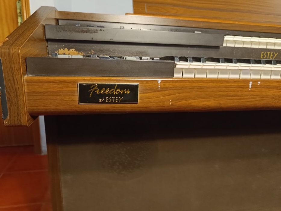 Órgão/Piano elétrico vintage