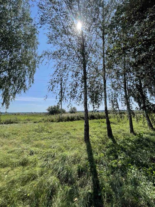 Будинок с.Пухова