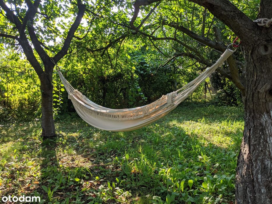 Działka ROD 656 m² (domek do rozbiórki) + Sprzęt GRATIS! (REZERWACJA) - Widok 2
