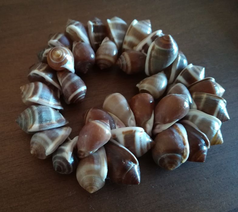 Pulseira Nova Nova