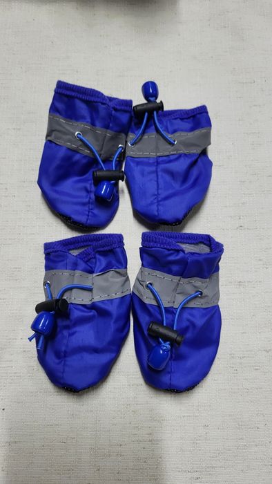 Взуття для собачки