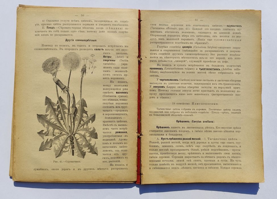 РЕДКОСТЬ! Книга Растения Проф Шмейль 1910 КИЕВ Пироговское общество Ботаника Антиквариат Дореволюционная букинистика ПОЛНЫЙ КОМПЛЕКТ 4 цветные таблицы