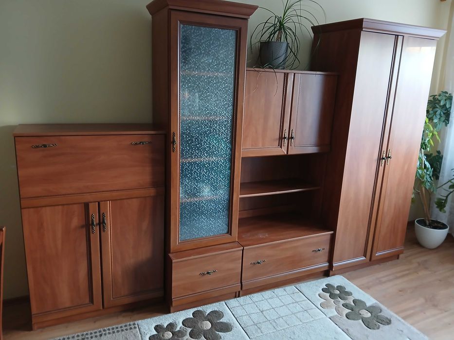 Meblościanka segment