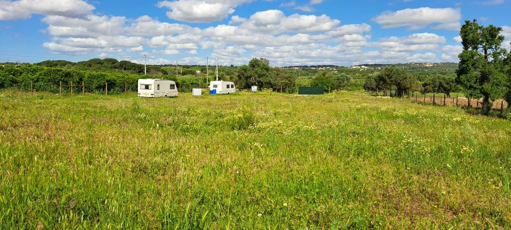 Terreno 4.280m2 Boliqueime a 10min Praia da Falésia