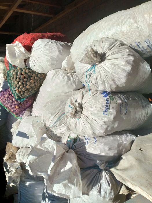 горіхи волоські бойний