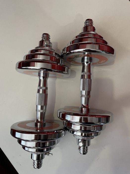 Гантели наборные, гантелі набірні 10 кг