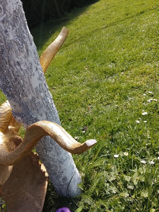 Lampa kare design  animal goat