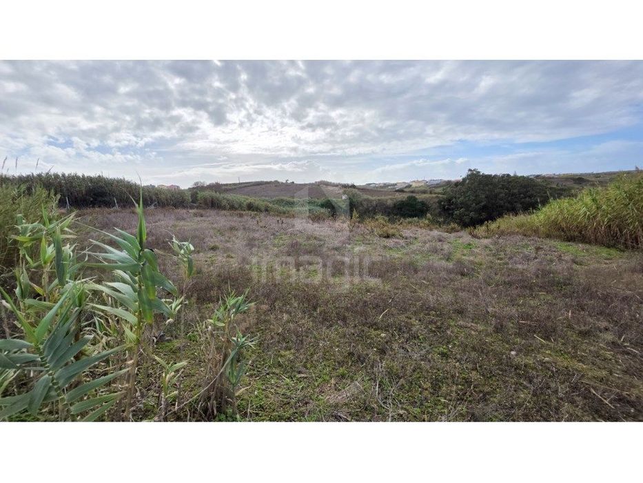 Terreno rústico com 6000m2, Barril, Encarnação. — Encarnação, Lisboa