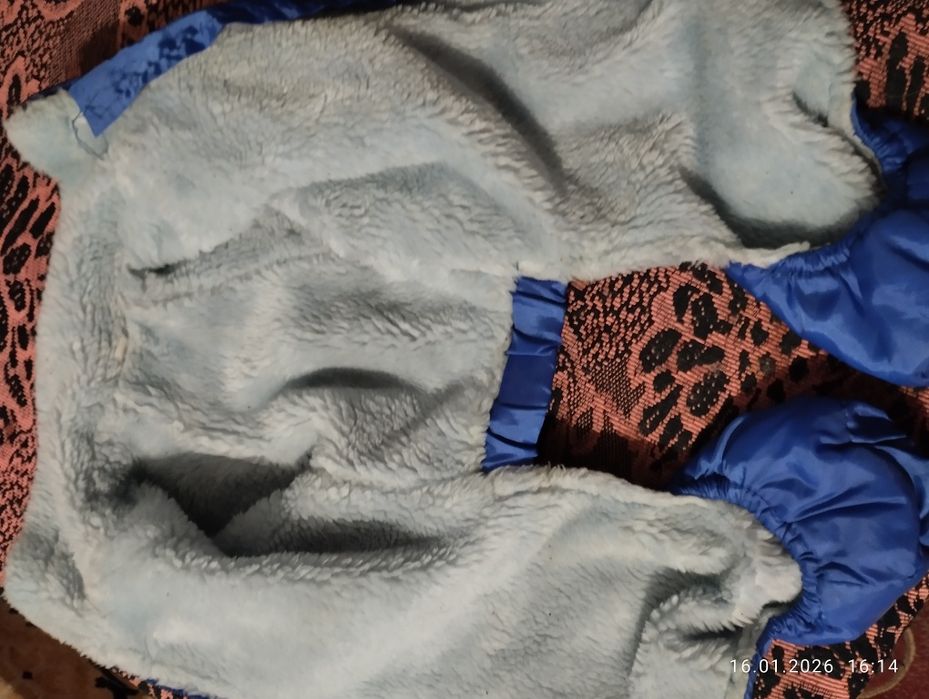 Одяг для собачок