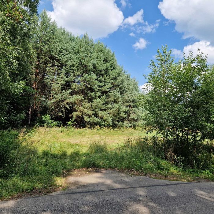 Sprzedam 2 działki budowlane przy lesie | 3000 m² | Udrzynek | asfalt