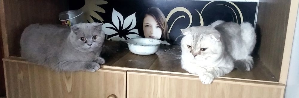 Запрошує на в'язку