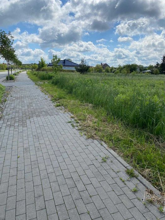 Zdjęcie 7