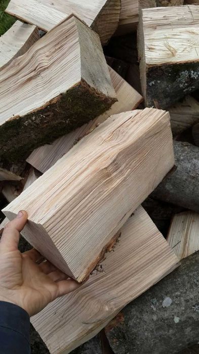 Дрова рубані(колоті)  твердої породи. Самовивіз!