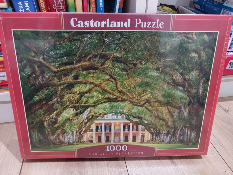Puzzle 1000 szt. CASTORLAND. Nowe