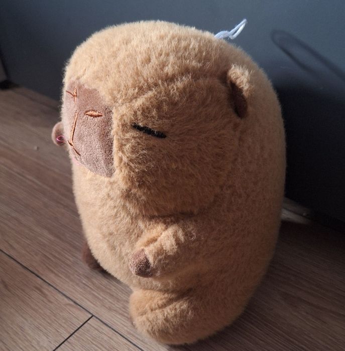Kapibara Maskotka 25cm