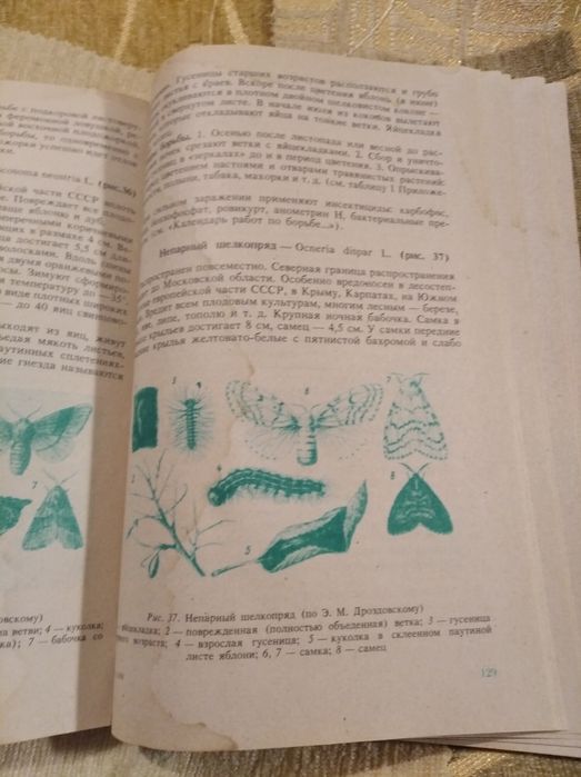 Яблоня в вашем саду Гусева И.Н. 1991 книга садовода советы садовнику