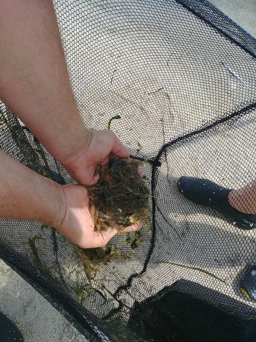 Терміновий продаж або обмін на авто або мікроавтобус. дві зем.ділянки