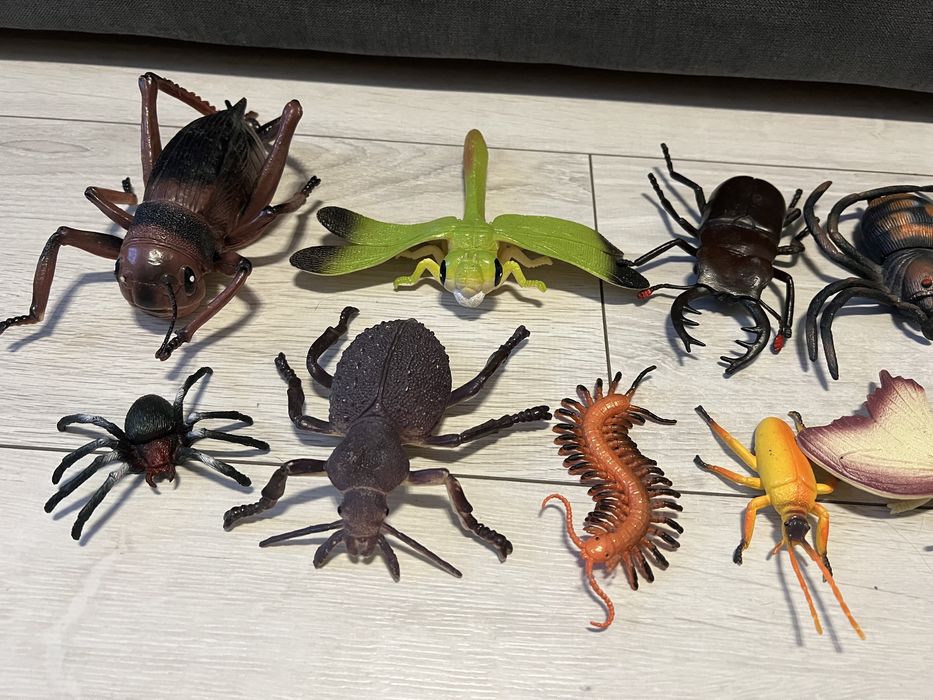 Figurki owadów, itp.