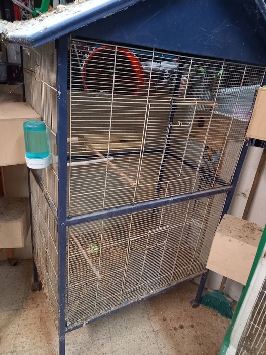 Viveiros vários com divisória